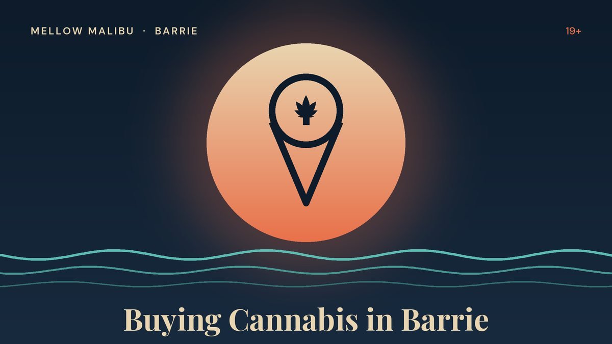 Illustration of a map pin with a cannabis leaf for the Mellow Malibu guide to buying cannabis in Barrie