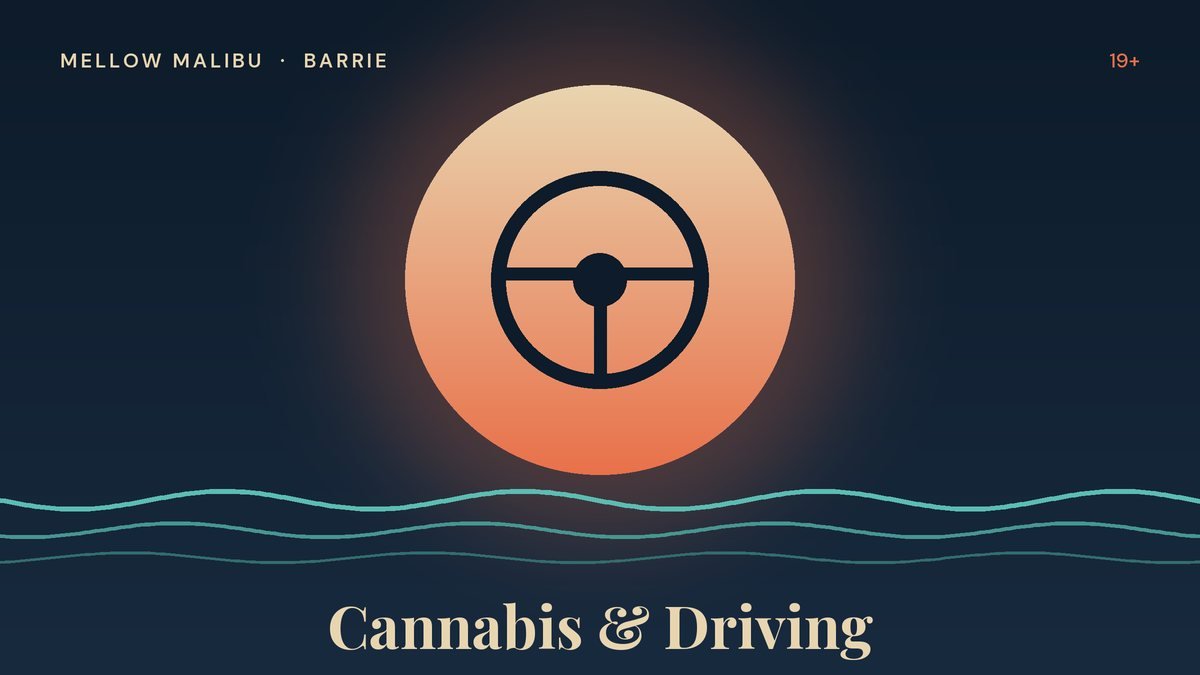 Illustration of a steering wheel for the Mellow Malibu cannabis and driving in Ontario guide